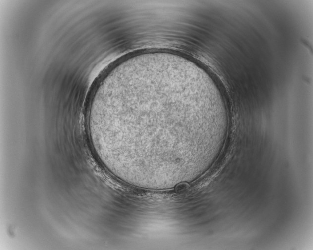 X0000102280928200808151924