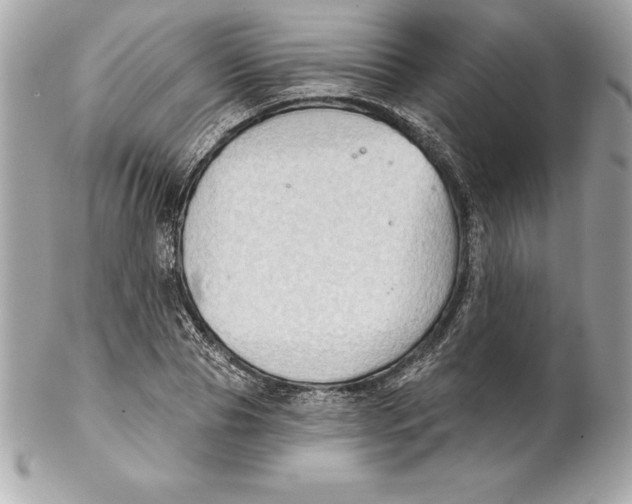 X0000102280929200808151924