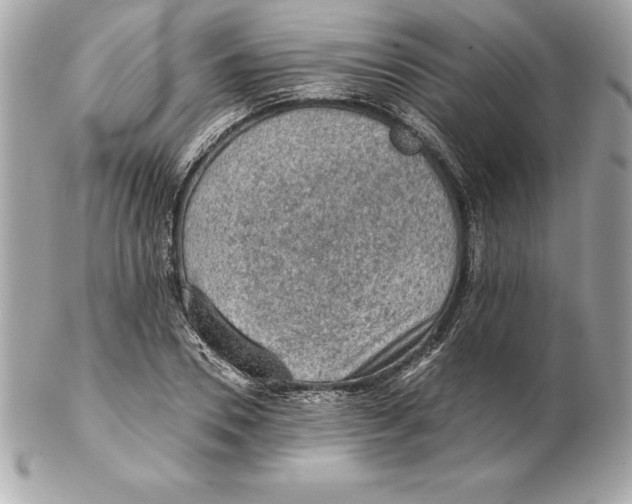 X0000102280930200808151924