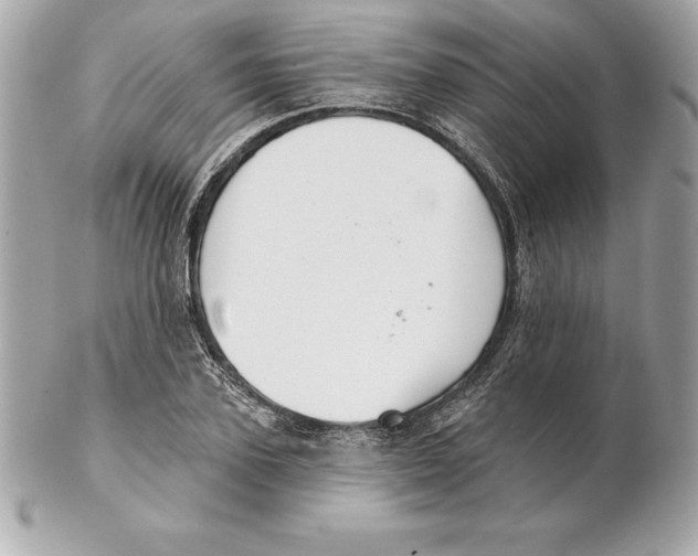 X0000102280931200808151924