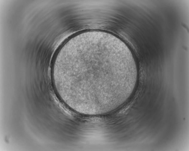 X0000102280932200808151924