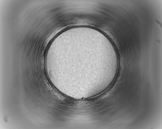 X0000102280933200808151924