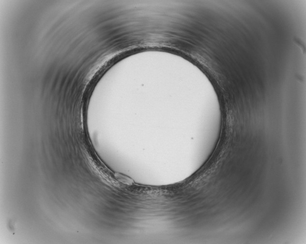 X0000102280934200808151924