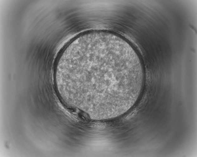 X0000102280935200808151924