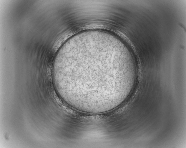 X0000102280937200808151924