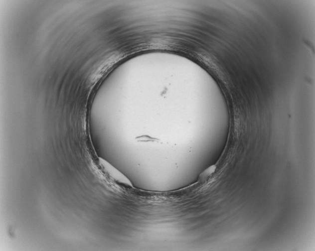 X0000102280938200808151924