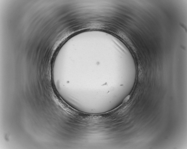 X0000102280939200808151924