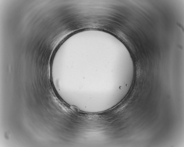 X0000102280940200808151924