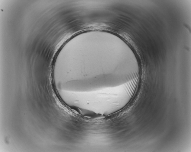 X0000102280941200808151924