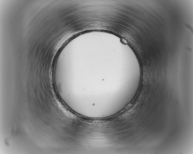 X0000102280942200808151924