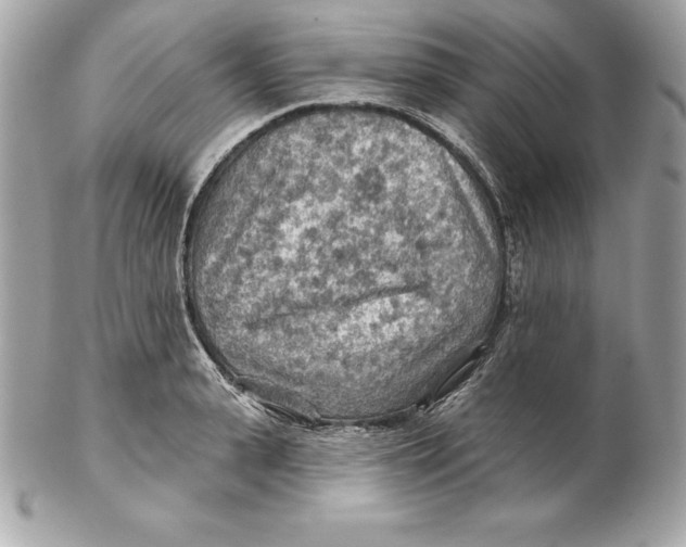 X0000102280943200808151924