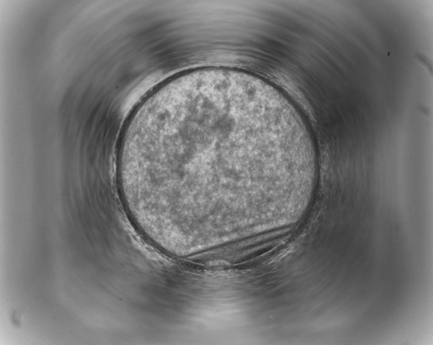 X0000102280944200808151924