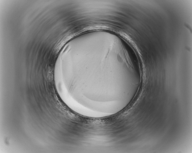 X0000102280945200808151924