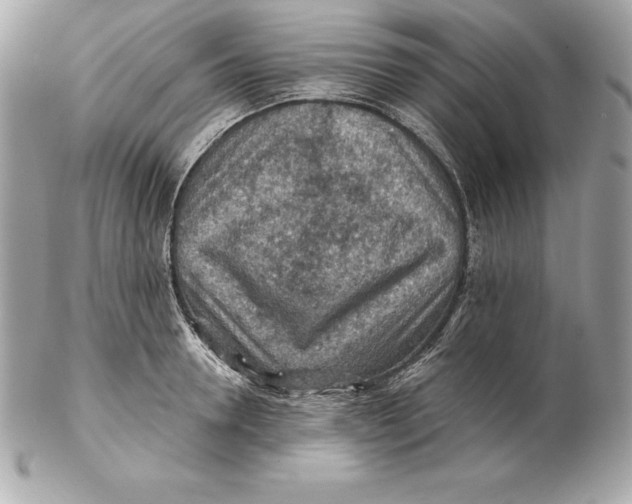 X0000102280946200808151924