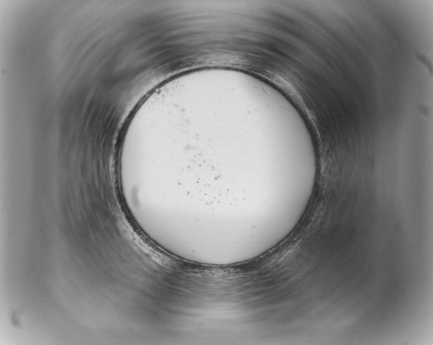 X0000102280947200808151924