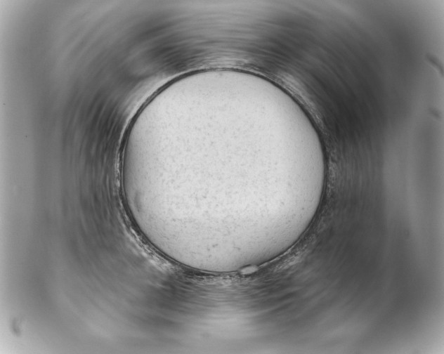 X0000102280948200808151924