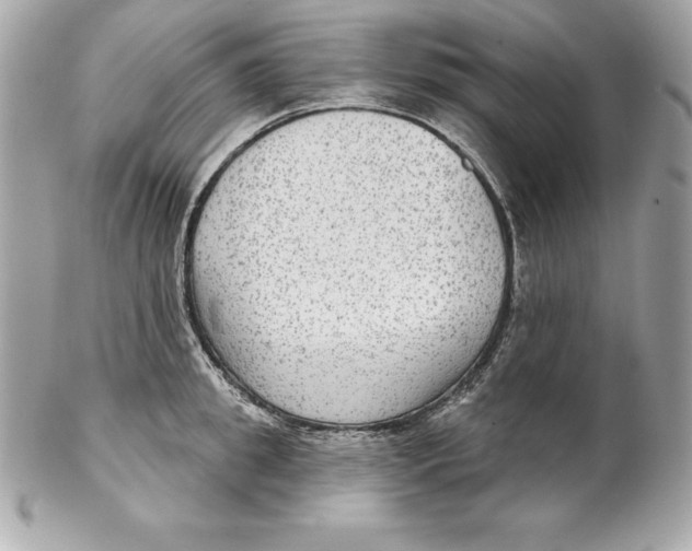 X0000102280949200808151924