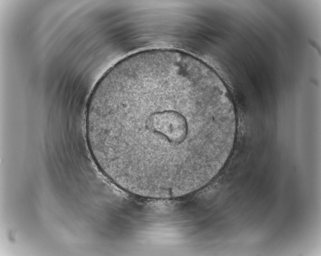 X0000102280950200808151924