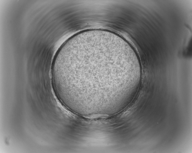 X0000102280951200808151924