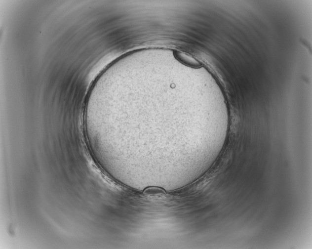 X0000102280952200808151924