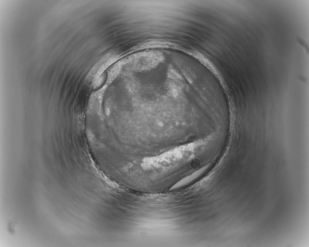 X0000102280953200808151924