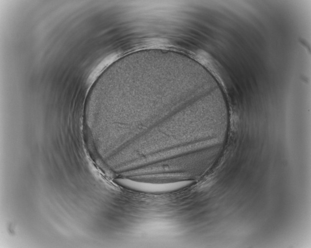 X0000102280954200808151924