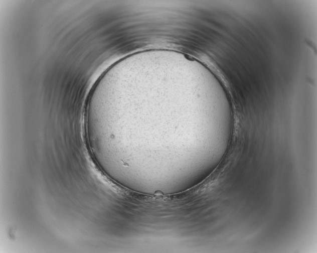 X0000102280955200808151924