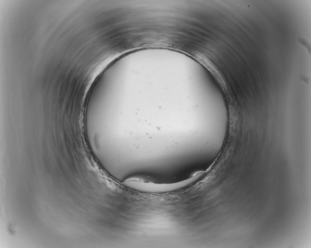 X0000102280956200808151924