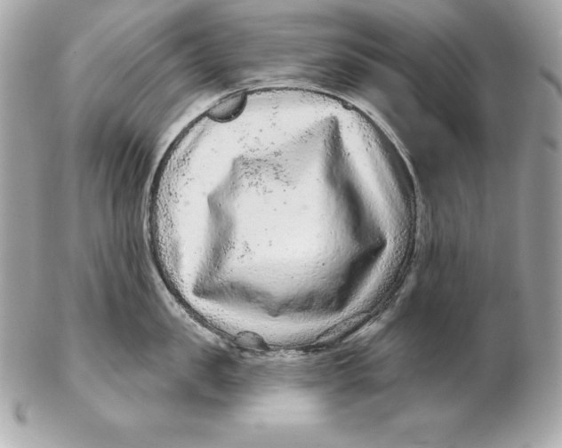 X0000102280957200808151924