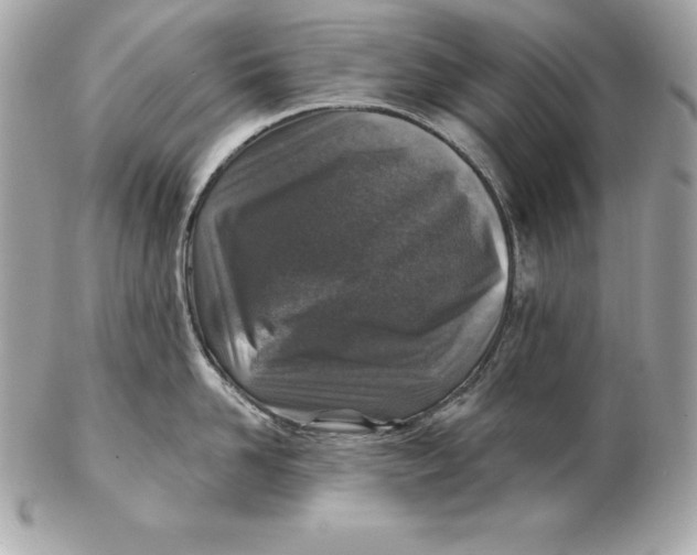 X0000102280958200808151924