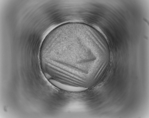 X0000102280959200808151924