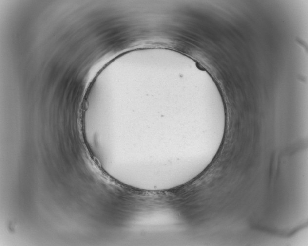 X0000102280960200808151924