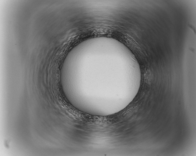 X0000102280961200808151924