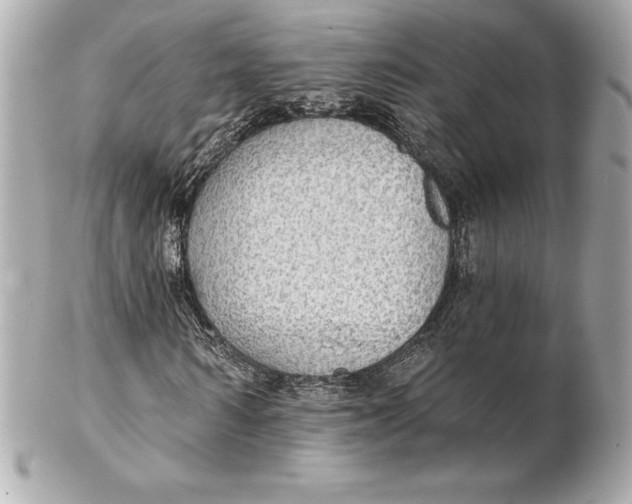 X0000102280962200808151924