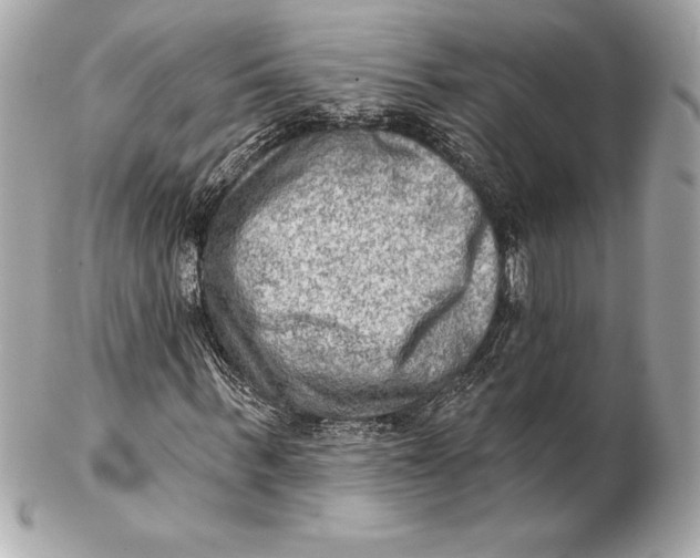 X0000102280963200808151924