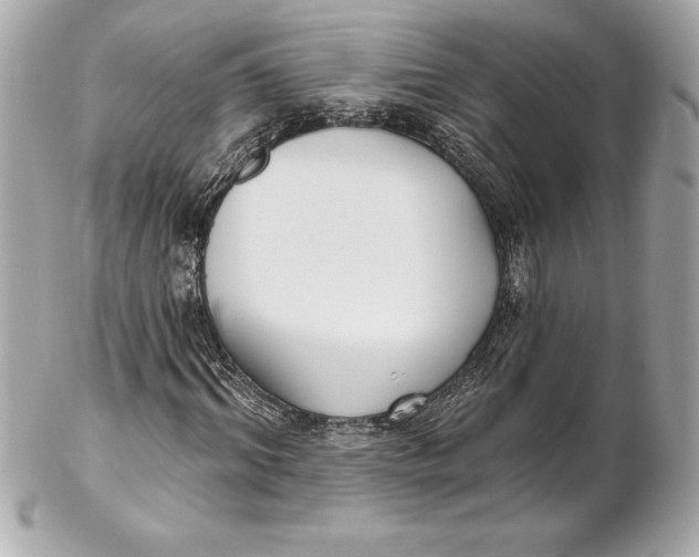 X0000102280964200808151924