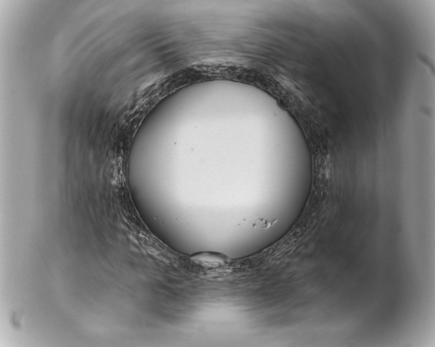 X0000102280965200808151924