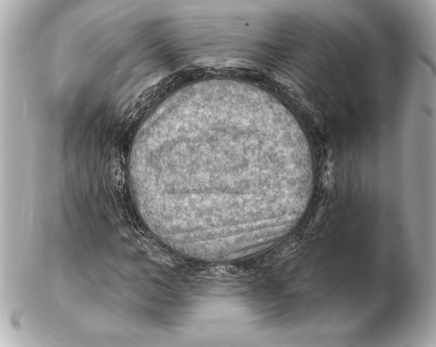 X0000102280966200808151924