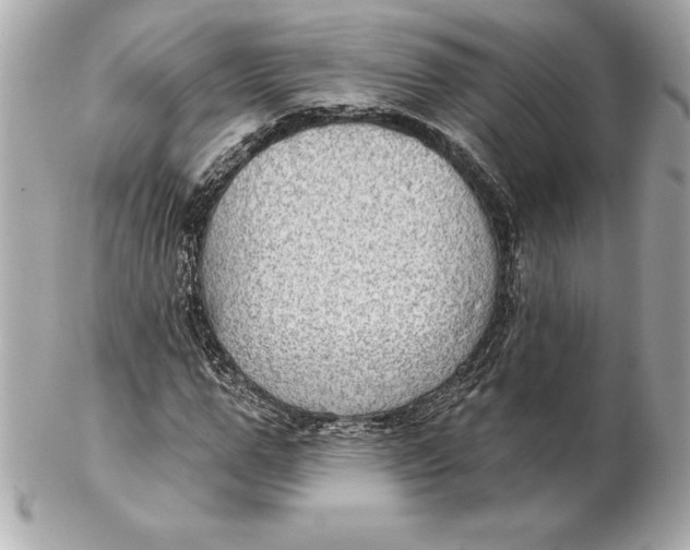 X0000102280967200808151924