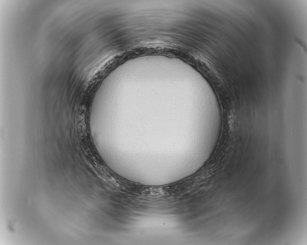 X0000102280968200808151924