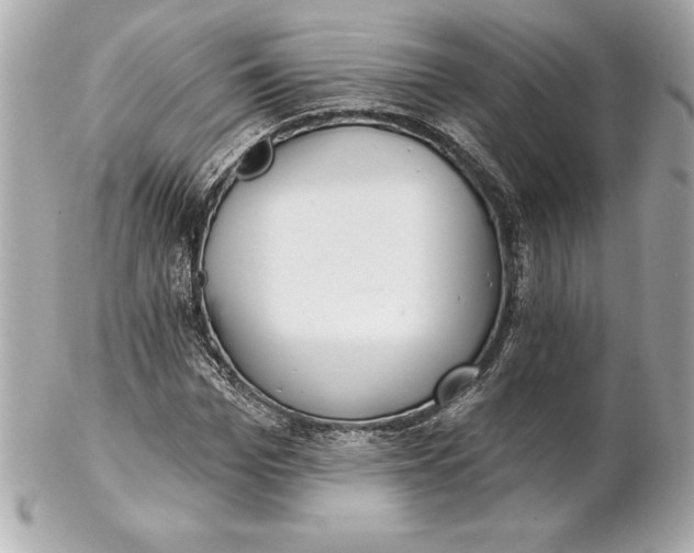 X0000102280969200808151924