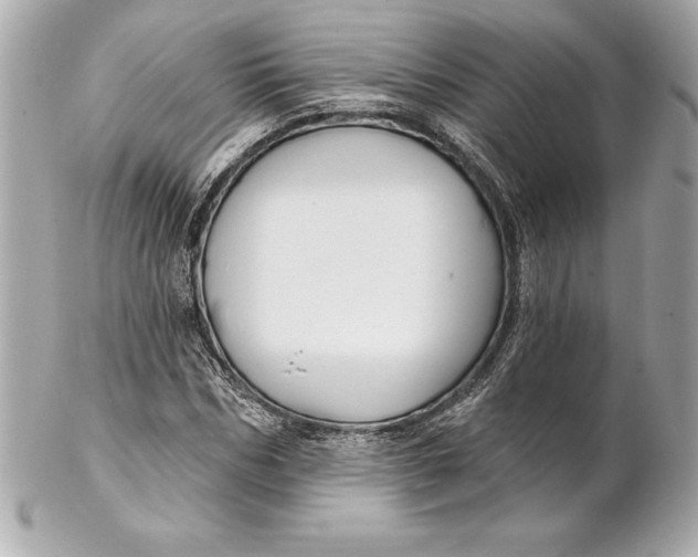 X0000102280970200808151924