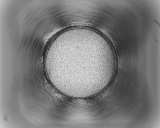 X0000102280971200808151924