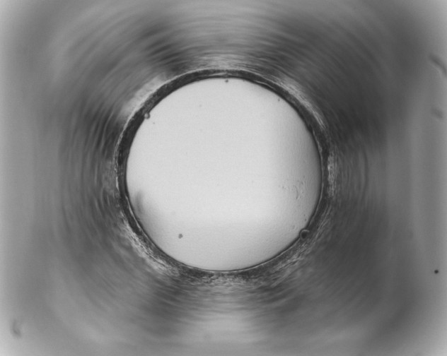 X0000102280972200808151923