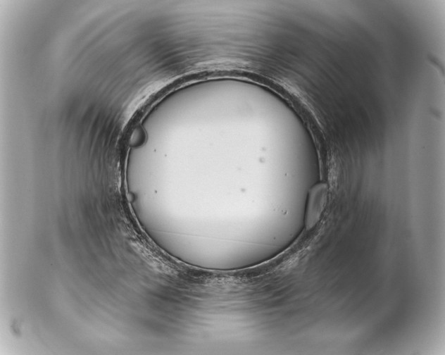 X0000102280973200808151923