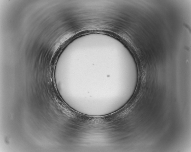 X0000102280974200808151923