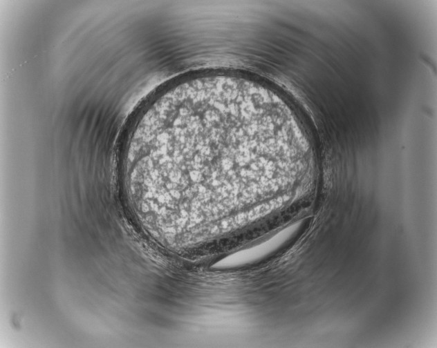 X0000102280975200808151923