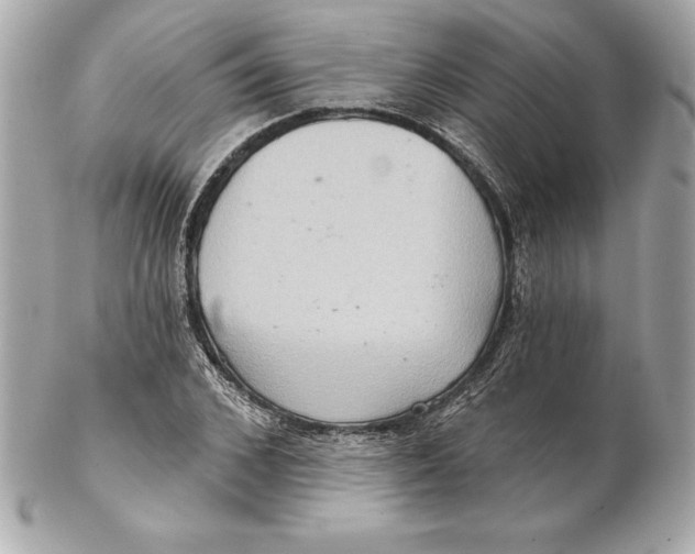 X0000102280976200808151923