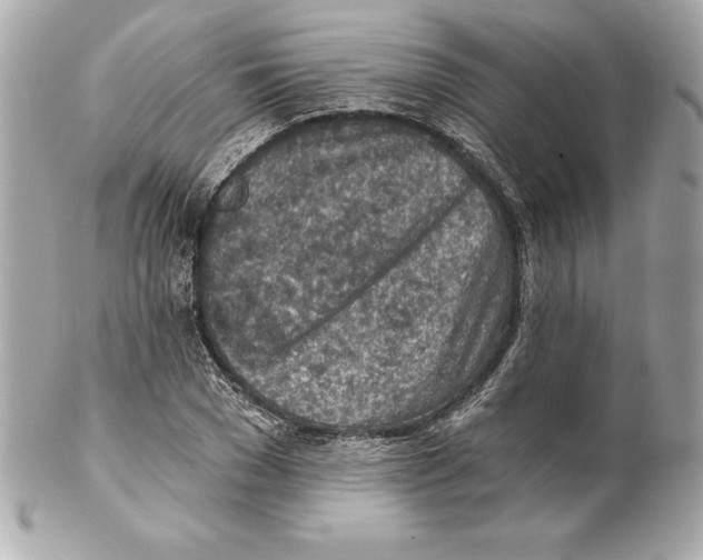 X0000102280977200808151923