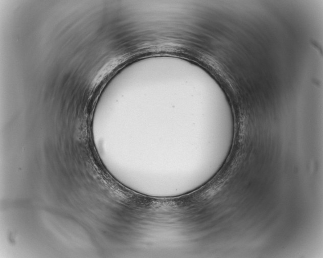 X0000102280978200808151923